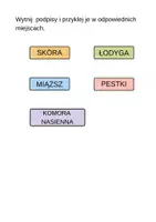 zapowiedź - Budowa dyni - karty pracy - strona 3