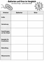 Vorschau - Arbeitsblätter - Bakterien und Viren - Seite 3