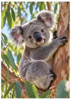 Vorschau - Bildkarten - Australia - Vocabulary Flashcards I free - Deckblatt