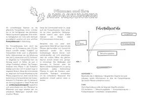 Vorschau - Arbeitsblätter - Anpassungen der Pflanze an den Standortfaktor Licht - Deckblatt