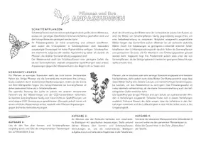 Vorschau - Arbeitsblätter - Anpassungen der Pflanze an den Standortfaktor Licht - Seite 1