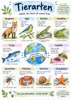 Vorschau - Arbeitsblätter - Lernplakat + AB mit Fragen zum Thema "Tierarten" + Lösungsblatt + Infografiken - Deckblatt