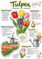 Vorschau - Arbeitsblätter - Lernplakat + AB mit Fragen zum Thema "Tulpen" + Lösungsblatt + Infografik - Seite 1
