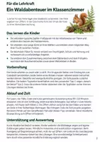 Vorschau - Arbeitsblätter - Escape Room Wald: Das Geheimnis der Waldkiste | Sachunterricht Klasse 3-4 - Seite 1