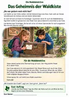 Vorschau - Arbeitsblätter - Escape Room Wald: Das Geheimnis der Waldkiste | Sachunterricht Klasse 3-4 - Seite 2