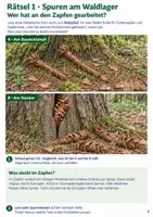 Vorschau - Arbeitsblätter - Escape Room Wald: Das Geheimnis der Waldkiste | Sachunterricht Klasse 3-4 - Seite 3