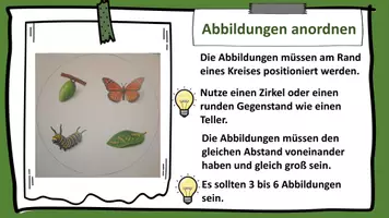Vorschau - Mal- und Bastelvorlagen - Interaktives Element Drehteller Drehscheibe für Plakate und Lapbooks - Seite 3