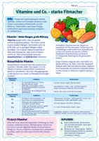 Vorschau - Stundenentwürfe - Vitamine & Co.: Arbeitsblätter mit Lösungen und Unterrichtsvorschlag, inklusive problemorientierter Fallgeschichte - Seite 2