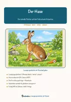 Vorschau - Arbeitsblätter - Der Hase – Lesespurgeschichte mit Rätselaufgaben (Klasse 8) - Seite 1