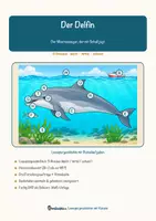Vorschau - Mal- und Bastelvorlagen - Der Delfin – Lesespurgeschichte mit Rätselaufgaben (Klasse 8) - Seite 1