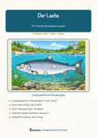 Vorschau - Arbeitsblätter - Der Lachs – Lesespurgeschichte mit Rätselaufgaben (Klasse 8) - Seite 1