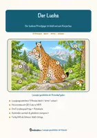 Vorschau - Arbeitsblätter - Der Luchs – Lesespurgeschichte mit Rätselaufgaben (Klasse 8) - Seite 1