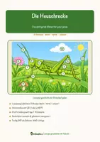 Vorschau - Arbeitsblätter - Die Heuschrecke – Lesespurgeschichte mit Rätselaufgaben (Klasse 8) - Seite 1