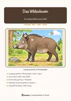 Vorschau - Mal- und Bastelvorlagen - Das Wildschwein – Lesespurgeschichte mit Rätselaufgaben (Klasse 8) - Seite 1