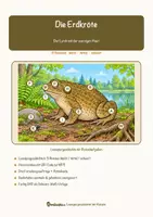 Vorschau - Arbeitsblätter - Die Erdkröte – Lesespurgeschichte mit Rätselaufgaben (Klasse 8) - Seite 1