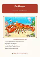 Vorschau - Mal- und Bastelvorlagen - Der Hummer – Lesespurgeschichte mit Rätselaufgaben (Klasse 8) - Seite 1