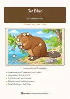 Vorschau - Arbeitsblätter - Der Biber – Lesespurgeschichte mit Rätselaufgaben (Klasse 8) - Seite 1