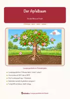 Vorschau - Arbeitsblätter - Der Apfelbaum – Lesespurgeschichte mit Rätselaufgaben (Klasse 8) - Seite 1