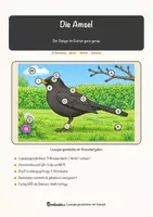 Vorschau - Arbeitsblätter - Die Amsel – Lesespurgeschichte mit Rätselaufgaben (Klasse 8) - Seite 1