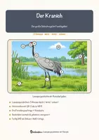 Vorschau - Arbeitsblätter - Der Kranich – Lesespurgeschichte mit Rätselaufgaben (Klasse 8) - Seite 1