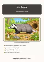 Vorschau - Arbeitsblätter - Der Dachs – Lesespurgeschichte mit Rätselaufgaben (Klasse 8) - Seite 1
