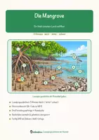 Vorschau - Arbeitsblätter - Die Mangrove – Lesespurgeschichte mit Rätselaufgaben (Klasse 8) - Seite 1