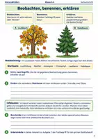 Vorschau - Arbeitsblätter - Herbst-Lernmalbuch Klasse 5–6 - Seite 2