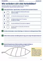 Vorschau - Arbeitsblätter - Herbst-Lernmalbuch Klasse 5–6 - Seite 3