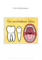 Vorschau - Stundenentwürfe - Mein Körper Unterrichtsreihe - Seite 2
