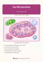 Vorschau - Arbeitsblätter - Das Mitochondrium – Lesespurgeschichte mit Rätselaufgaben (Klasse 9) - Seite 1