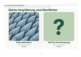 Vorschau - Arbeitsblätter - Bionik – die Natur als Erfinderin | Vertretungsstunde Biologie Klasse 5-7 | Suchsel, Lückentext & Lösungen - Seite 3