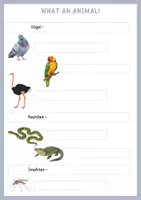 Vorschau - Arbeitsblätter - What an animal - Vocabulary Worksheets - Seite 3