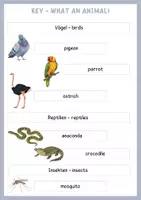 Vorschau - Arbeitsblätter - What an animal - Vocabulary Worksheets - Deckblatt