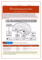 Vorschau - Arbeitsblätter - Das Belohnungssystem — Wie Sucht im Gehirn entsteht | Suchtprävention Sek I - Seite 2
