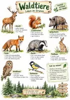 Vorschau - Arbeitsblätter - Lernplakat + AB mit Fragen zum Thema "Waldtiere" + Lösungsblatt + Infografik - Deckblatt