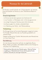 Vorschau - Mal- und Bastelvorlagen - Waldmandalas - Bäume im Herbst für die 2. Klasse - Seite 1
