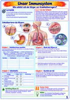 Vorschau - Unterrichtsreihen - Immunsystem & Gesundheit – 15 Arbeitsblätter | Klasse 5/6 - Seite 2