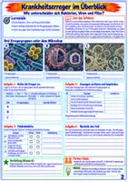 Vorschau - Unterrichtsreihen - Immunsystem & Gesundheit – 15 Arbeitsblätter | Klasse 5/6 - Seite 3
