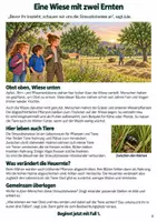 Vorschau - Arbeitsblätter - Escape Room Streuobstwiese: Die Wiesendetektive | Sachunterricht Klasse 4 - Seite 3