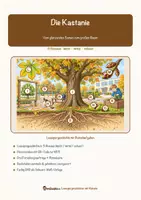 Vorschau - Mal- und Bastelvorlagen - Die Kastanie – Lesespurgeschichte mit Rätselaufgaben (Klasse 5) - Seite 1