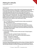 Vorschau - Mal- und Bastelvorlagen - Die Kastanie – Lesespurgeschichte mit Rätselaufgaben (Klasse 5) - Seite 2