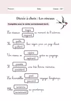 Aperçu - Préparation de séance / Séance complète - Dictée Les oiseaux CE1 +4 fiches d'activités - Page de couverture