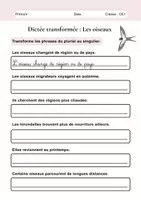 Aperçu - Préparation de séance / Séance complète - Dictée Les oiseaux CE1 +4 fiches d'activités - Page 3