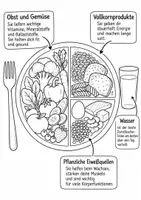 Vorschau - Mal- und Bastelvorlagen - Gesund & Bunt – Ausmalbuch Gesunde Ernährung | Klasse 5–7 | Ernährungsbildung - Seite 2