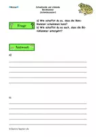 Vorschau - Arbeitsblätter - Erweiterung Zauberhafte Zaubertrankstunde - Schwebezauber - Seite 3