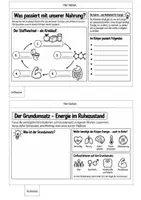 Vorschau - Mal- und Bastelvorlagen - Flipbook Ernährung – Nährstoffe, Stoffwechsel & Verdauung I Unterrichtsmaterial zum Zusammenfassen - Seite 2