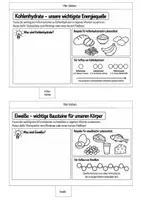 Vorschau - Mal- und Bastelvorlagen - Flipbook Ernährung – Nährstoffe, Stoffwechsel & Verdauung I Unterrichtsmaterial zum Zusammenfassen - Seite 3