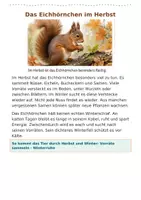 Vorschau - Fördermaterial/Inklusion - Tiere im Herbst Lesekartei Klasse 3- Klasse 5 Sachunterricht Deutsch - Seite 1