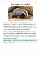 Vorschau - Fördermaterial/Inklusion - Tiere im Herbst Lesekartei Klasse 3- Klasse 5 Sachunterricht Deutsch - Seite 2