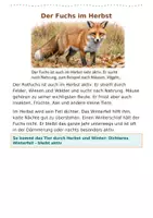 Vorschau - Fördermaterial/Inklusion - Tiere im Herbst Lesekartei Klasse 3- Klasse 5 Sachunterricht Deutsch - Seite 3